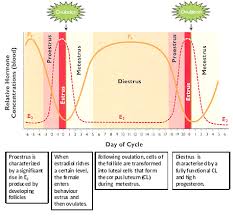 Physiological And Reproductional Aspects Of Animal