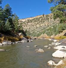 new mexicos best fly fishing rivers and streams