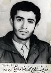 شهید محمدرضا لولاچیان | گلزار شهدا