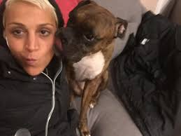 Sullivan before and after the word.... Hello.... 🤣🤣🤣 I cannot, I  repeat... cannot answer the phone with a proper greeting without a  manbarkfest... Not sure how this happened... 🧡 Sullivan's Momma