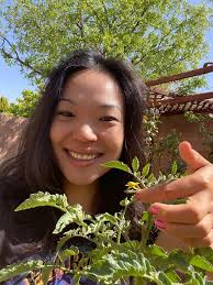 Why is my coffee plant not producing?