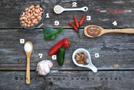 We did not find results for: Bumbu Pecel Rek Ayo Rek