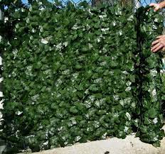 Green leaves provide a dense, lush and naturally opaque look. Best Artificial English Ivy Leaf Screening Roll 3m X 1m Privacy Hedging Wall Landscaping Garden Fence Uv Fade Protected Green Amazon Co Uk Garden Outdoors