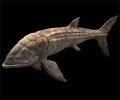 Apr 25, 2017 · the leedsichthys is the one of the largest sea creatures out there and takes pride in destroying or damaging player created rafts. Bbc Science Nature Sea Monsters Fact File Leedsichthys