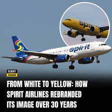 Image result for Natural Yellow 2000 Fleet