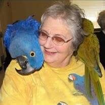 Obituary, Visitation & Funeral Information