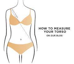 How To Measure Torso For Shapewear Torso Waist Training Measure Waist
