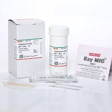 Image result for Amphotericin B