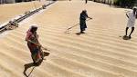 MSP: farmers feel down Centre