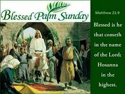 It's also the first day of 'holy week' and on this day palm sunday is a favourite celebration for most of the christians around the world and that's why we will see palm sunday quotes on social media in trend. Blessed Palm Sunday Matthew 21 9 Palm Sunday Quotes Bible Verse Pictures Sunday Blessing
