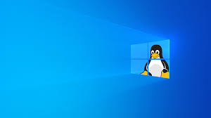 Tux Behind the Window Wallpaper : linux