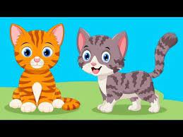 kedi kardes nerdesin en guzel cocuk sarkilari youtube kedi sarkilar guzel cocuklar