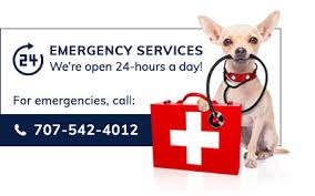 We'll also determine the current vaccine status of your pet, and offer you a schedule to follow to keep your pet up to date. Video Collection By Redwood Veterinary Clinic In Santa Rosa Ca