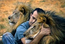 Kevin Richardson The Lion Whisperer Kevin richardson is an american singer, songwriter, actor, and model. kevin richardson the lion whisperer