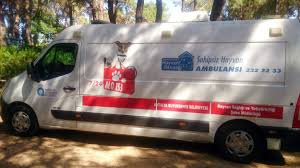 Buyuksehir Hayvan Ambulansi 7 24 Gorevde