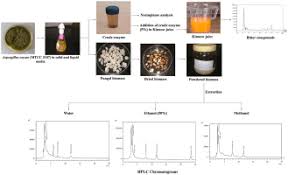 Antioxidant, anti-cancer, and debittering potential of edible fungi  (Aspergillus oryzae) for bioactive ingredient in personalized foods