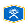 PT Solutions Physical Therapy logo