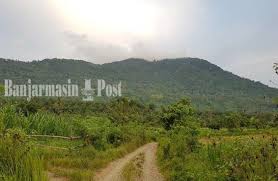 Selain hutan mangrove yang tujuan awalnya sebagai konservasi lahan, di tempat ini juga digunakan sebagai tempat wisata yang menarik anak sekolah sebagai bahan. Tempat Wisata Loksajukung Kabupaten Tala Bakal Ditambah Fasilitas