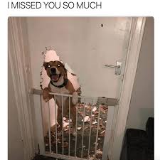 The best meme creator online! I Missed You So Much Meme Ahseeit