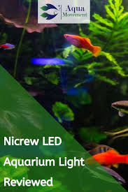 It offers fairly strong lighting under a cool 6000k rating. Nicrew Classicled Aquarium Light Review Aqua Movement Aquarium Lighting Led Aquarium Lighting Aquarium