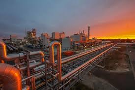 Image result for Dark Yellow Green 2016 Fleet