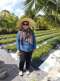 Dapatkan informasi tanaman herbal yang bermanfaat disekitar anda. Bioalpha Kumpulan Pertanian Terbesar Di Malaysia Yang Menanam Tanaman Herba
