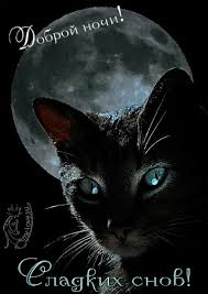 pin na doske spokojnoj nochi