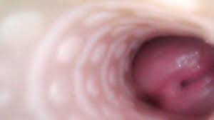 Cumming inside Riley Reids Fleshlight