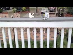 Diy Installing Rope Lighting On Your Deck Youtube