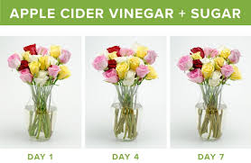 How do you make flower food for cut flowers. How To Make Flowers Last Longer 9 Tricks Proflowers