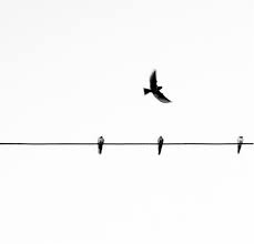 Artsy Instagram Theme Dividers Black And White 13 Gorgeous Feed Theme Dividers For Instagram In 2020 Theme Dividers Instagram Theme Divider Instagram Theme Feed