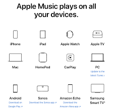 One of the smartest things you can do is back up your files so that they're. La Mejor Manera De Convertir Apple Music A Formato Mp3