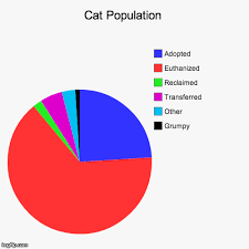 Cat Population Imgflip