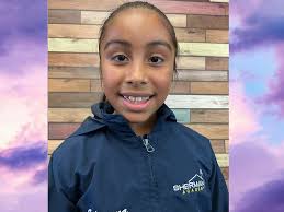 Fundraiser for Itzel De Jesus by Nicole Cázares Enriquez : Honoring  Silvanna: A Farewell with Love