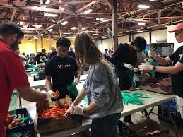 Spring 2019 Newsletter