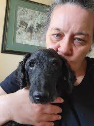 Rescued dog Cooper's perfect hiking buddy