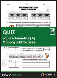Monohybrid worksheet problems genetics crosses simple practice answer key mendelian between cross answers worksheets incomplete differentiate quiz chapter printables codominance. A 1 Page Quiz Designed To Cover The Topics Physical Traits Alleles Dominant And Recessive Traits Purebreds And Hybrids Pun Quiz Design Quiz Punnett Squares