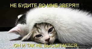 Котоматрица: НЕ БУДИТЕ ВО МНЕ ЗВЕРЯ!!! ...ОН И ТАК НЕ ВЫСЫПАЕТСЯ...