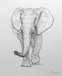 Elephant Sketch Sketchbook Animal Art Pencil Drawing Of An African Elephant Realistic Wi Elephant Sketch Realistic Animal Drawings Animal Drawings Sketches