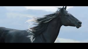 Das könnte dich auch interessieren. Ostwind Der Grosse Orkan 2020 Film Trailer Kritik