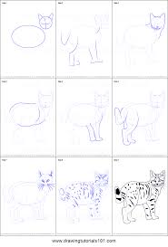 Start drawing (very lightly) the cat by drawing its skeletonized shape (stick figure. How To Draw A Kitten Printable Step By Step Drawing Sheet Drawingtutorials101 Com