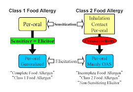 Latex Fruit Syndrome And Class 2 Food Allergy