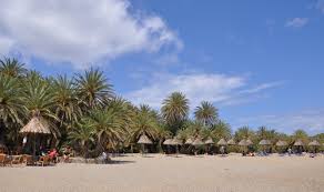 Je špecifická datľovými palmami, ktoré tu rastú už od staroveku, priviezli ich egyptskí námorníci. Datei Vai R06 Jpg Reisefuhrer Auf Wikivoyage