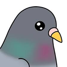 How To Draw A Pigeon (Cartoon) - Youtube