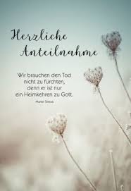 Nutzen sie folgende worte, um ihr beileid auszudrücken: Mit Spruch Spruche Trauer Herzliches Beileid Spruche Beileid Spruche