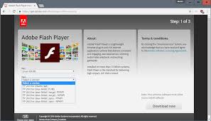 Flash Player Premium Sms How To Remove And Get Rid Of Flash Open Browser Internet Settings