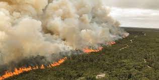 The photo below shows savem 2 on fireground 31 january. Country Fire Service The Cherry Chatter
