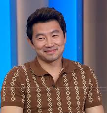 WornOnTV: Simu Liu's brown printed polo shirt
