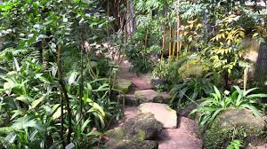But if you compare this botanic garden with the botanic garden in münster, germany, (with free entrance by the way), the botanic garden in. Tropenhaus Botanischer Garten Munster Youtube