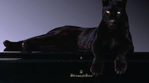 Get the black panther picture in high quality design for your inspiration. Black Panther Wallpaper 10 Black Panther Animal Wallpaper 4k For Pc 1920x1080 Download Hd Wallpaper Wallpapertip